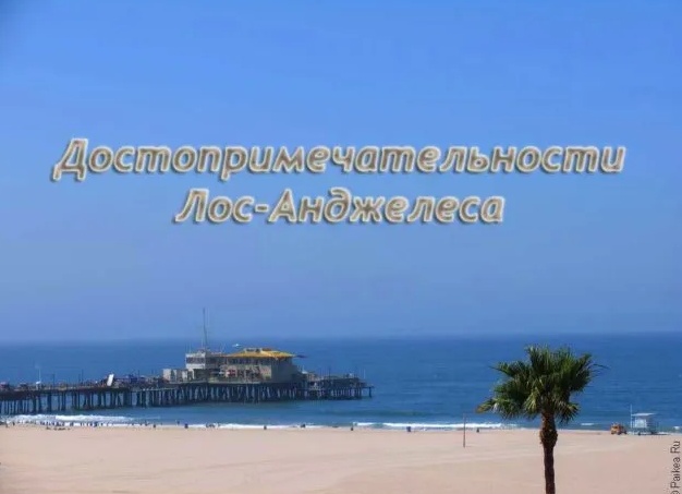 ТОП-7 самого дорогого кофе в мире