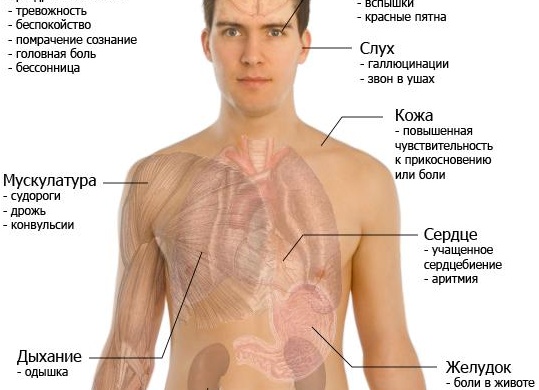 Можно ли употреблять кофе на ночь, мнение специалистов Можно ли употреблять кофе на ночь, мнение специалистов